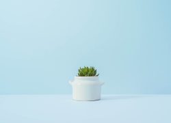 khai-sze-ong-308080-unsplash