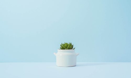 khai-sze-ong-308080-unsplash